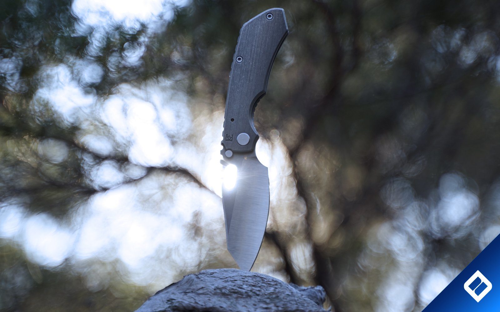How to Maintain & Prolong The Lifespan of Your Knives